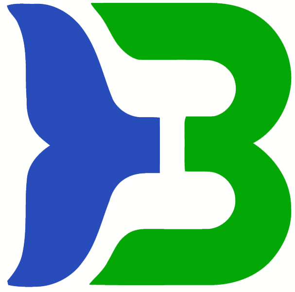 Binghamton Whalers 1980 81-1989 90 Primary Logo iron on transfers for clothing